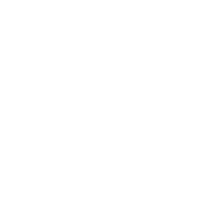 300.webp