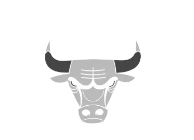 bulls.webp