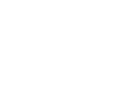 netflix.webp